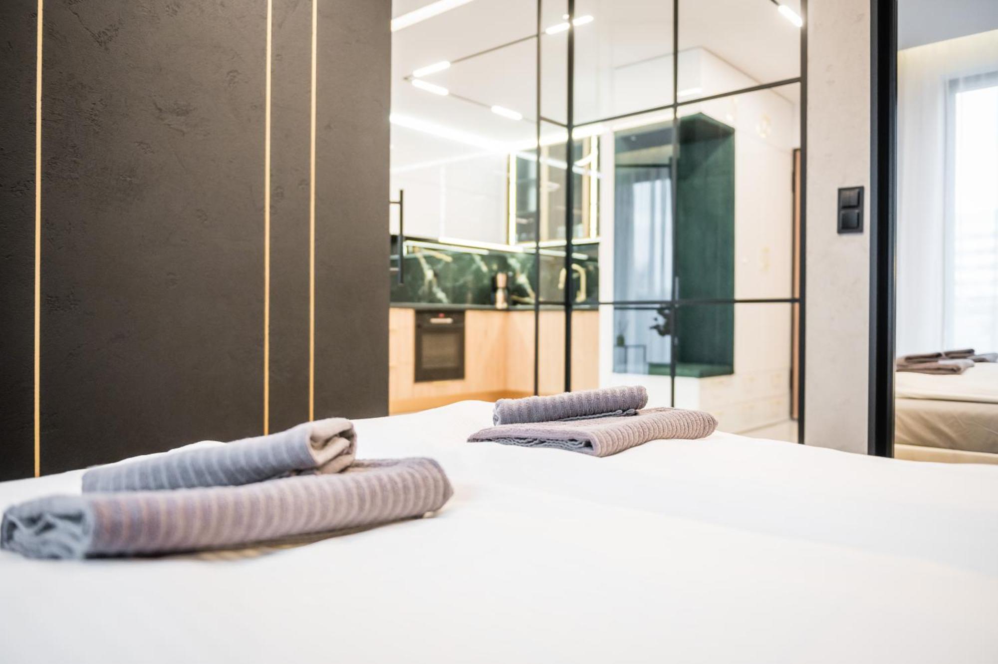 Greendustry Zablocie Luxury Wawelofts Apartment Krakow